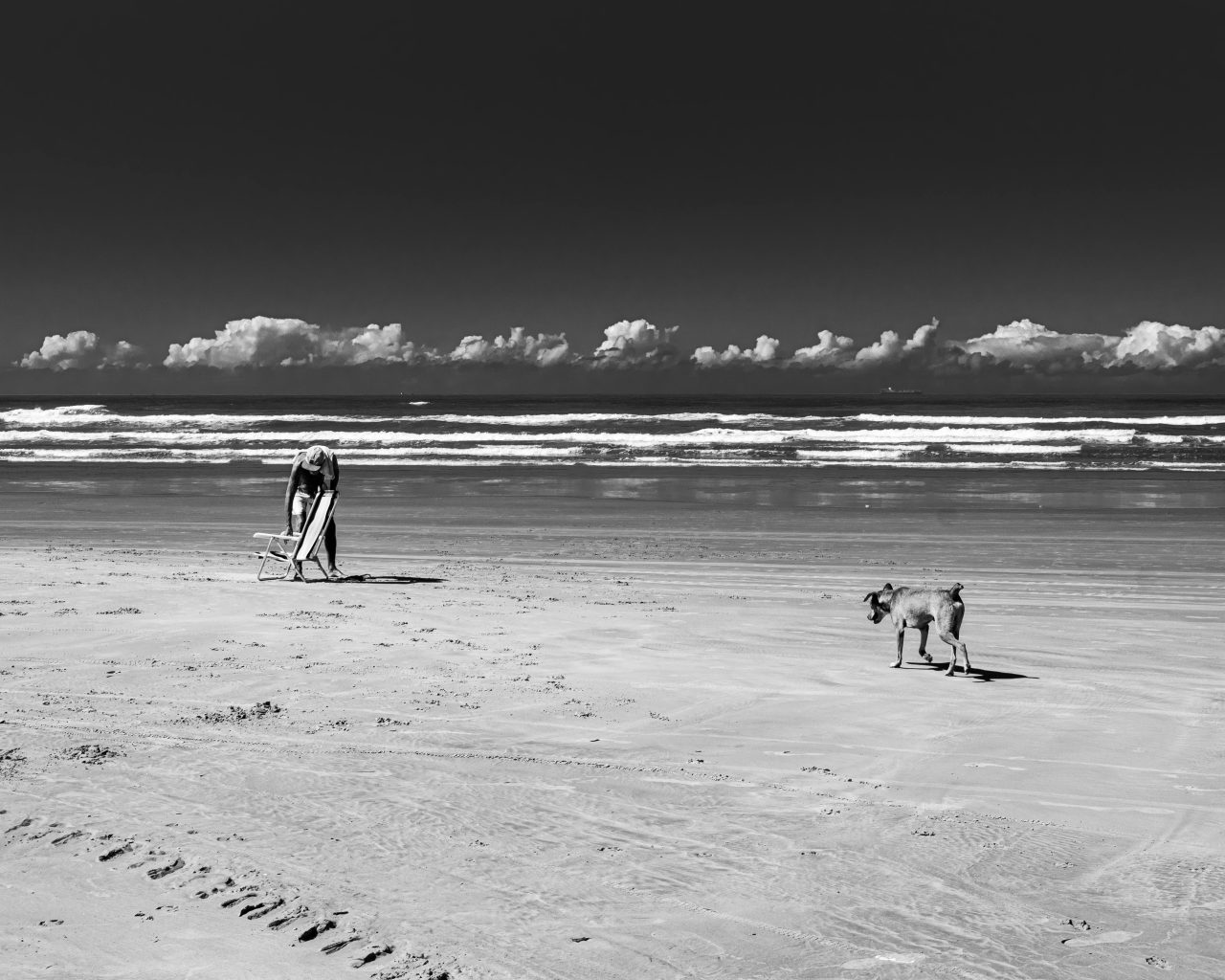 Serene black and white beach scene with a solitary figure and dog at Praia Grande, Brazil.
